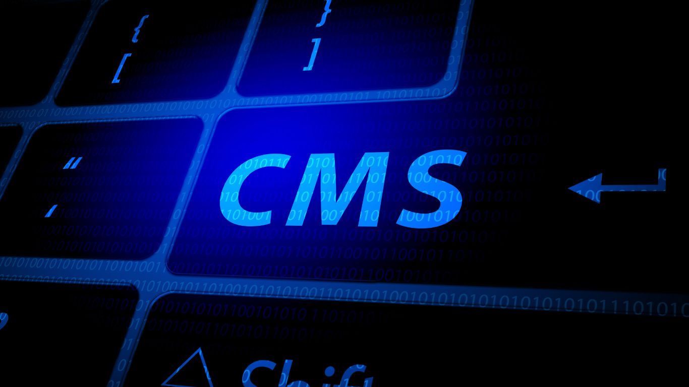 Drupal CMS Ne Tür Projeler İçin Uygun?